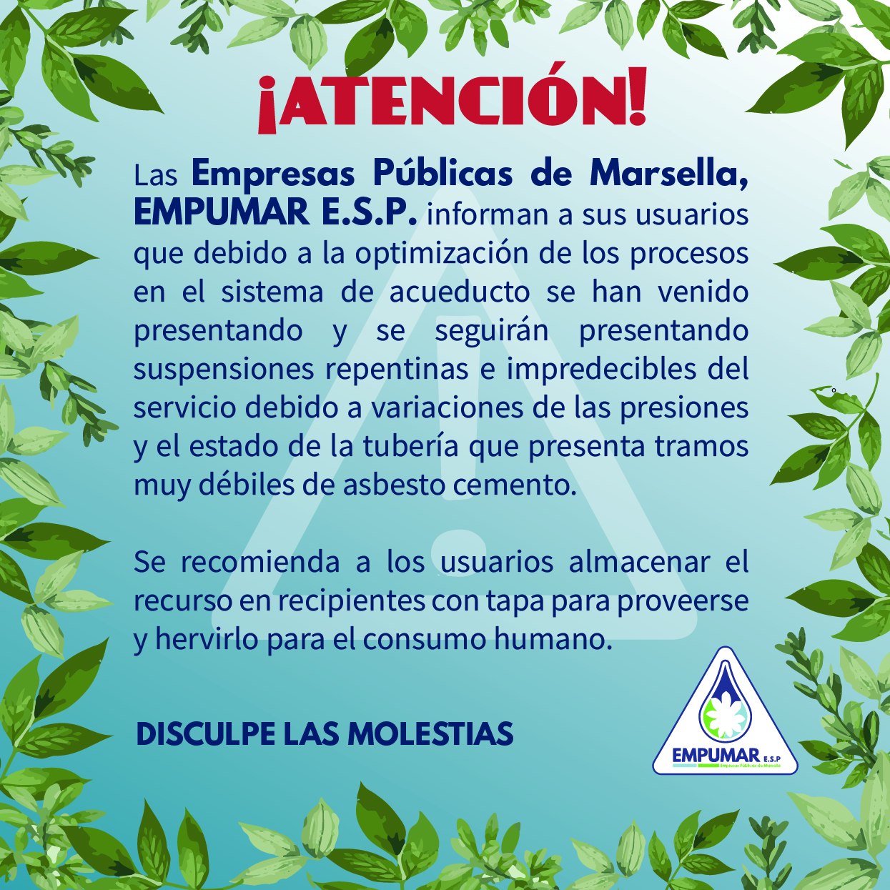 imagen descriptiva